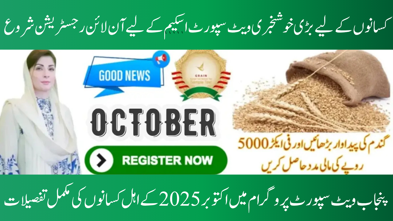 CM Punjab Wheat Support Program 2025