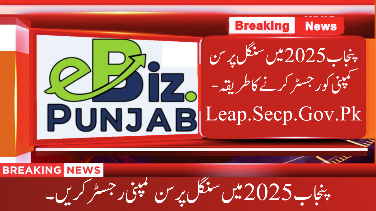 Register a Single-Person Company in Punjab 2025
