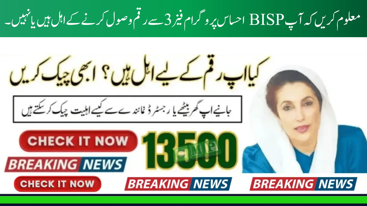 8171 Ehsaas Program Phase 3 Payments Start in October 2025