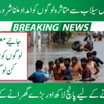 Punjab Government Starts Flood Relief 2025 Distribution