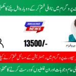 BISP Payment Ineligibility Fix 2025 How to Become Eligible Again