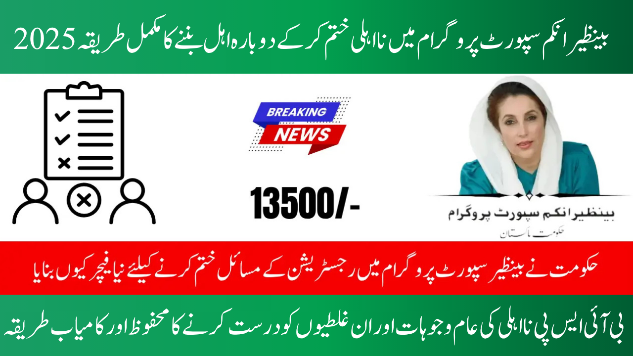 BISP Payment Ineligibility Fix 2025 How to Become Eligible Again