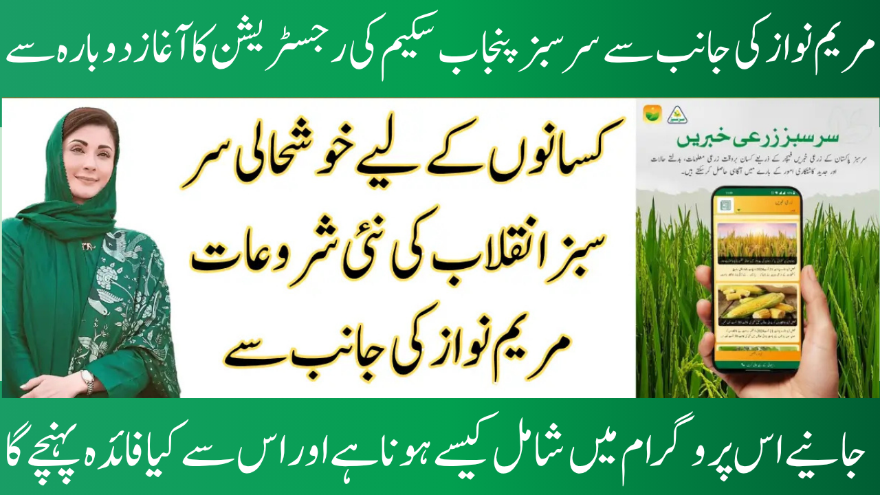 Sarsabz Punjab Scheme 2025