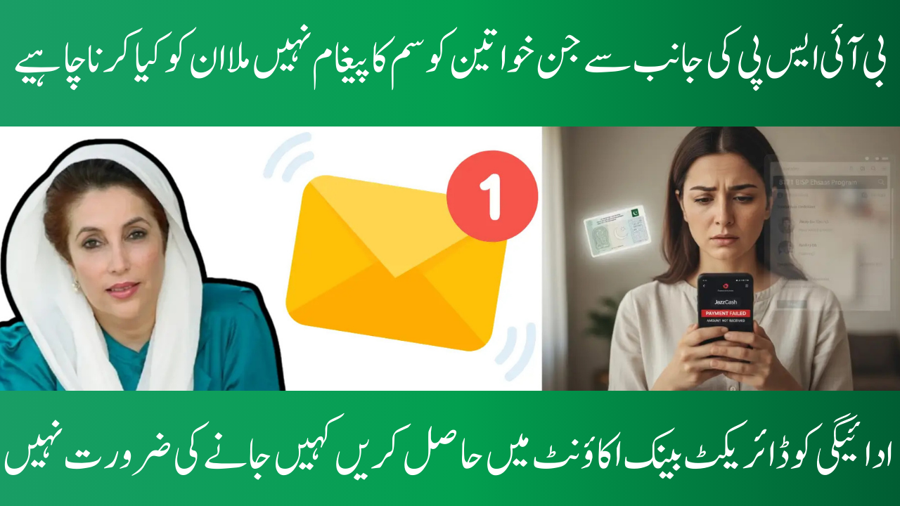 BISP Payment Missing in Wallet While Checking Through 8171 Portal Using CNIC 