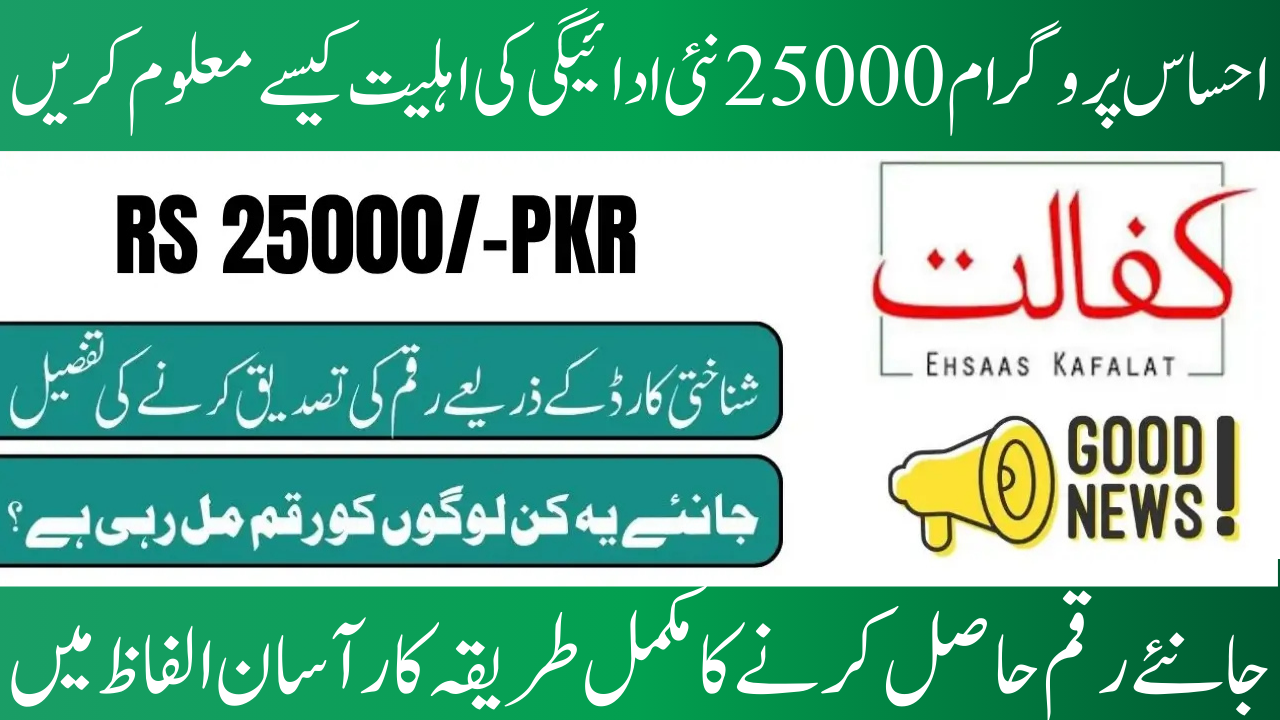 8171 Check Eligibility Criteria for Ehsaas 25000 