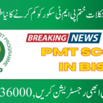 PMT Score in BISP Program 2025