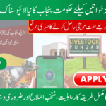 Livestock Program Phase 2 Online Registration for Widows and Divorced Women