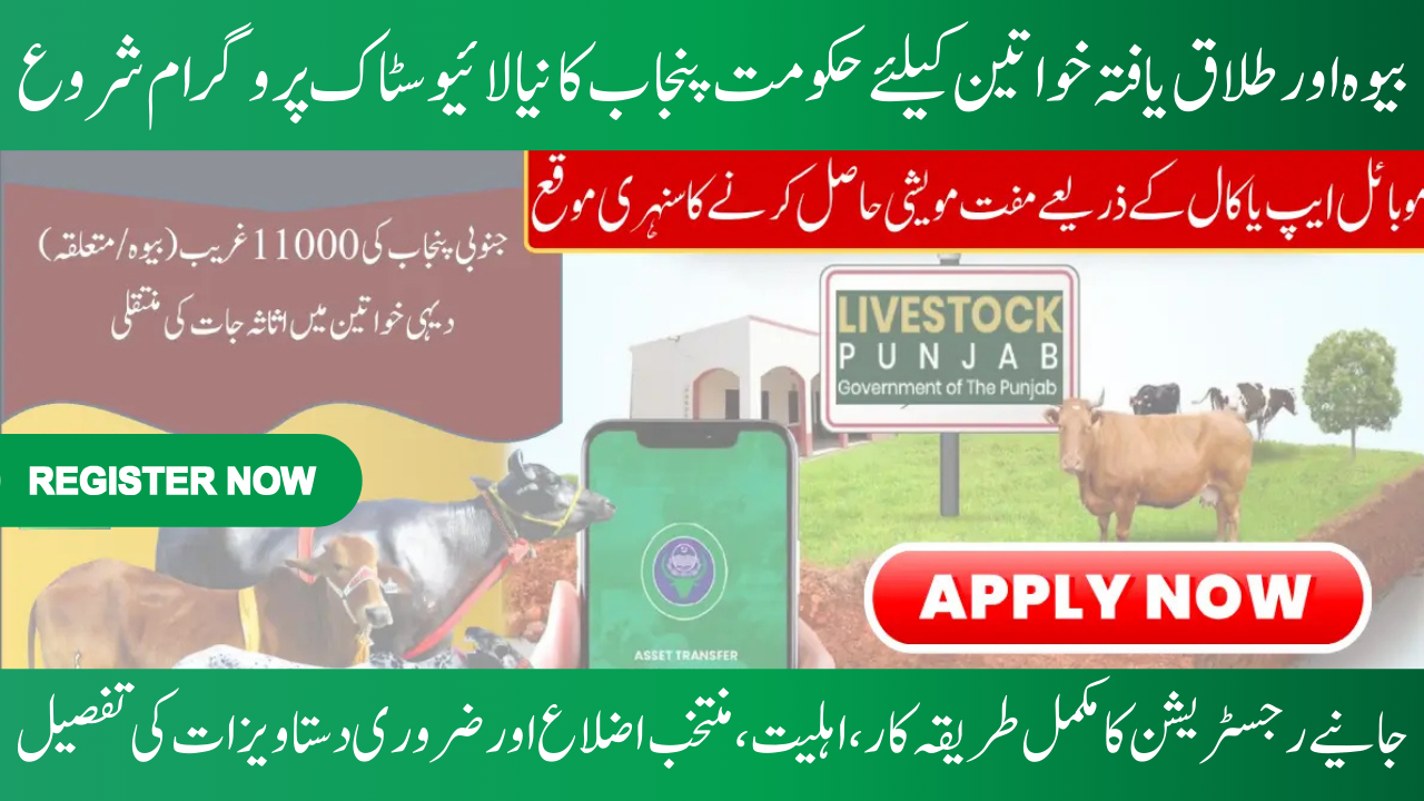 Livestock Program Phase 2 Online Registration for Widows and Divorced Women